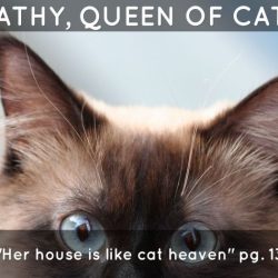 Cathy the queen of cats