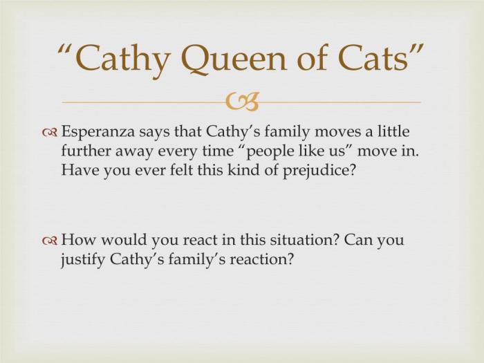 Cathy the queen of cats