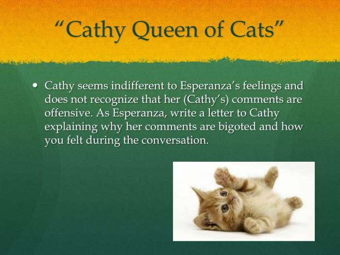 Cathy cats queen esperanza mango street house ppt powerpoint presentation