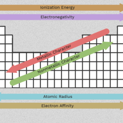 Periodic trends atomic radius worksheet