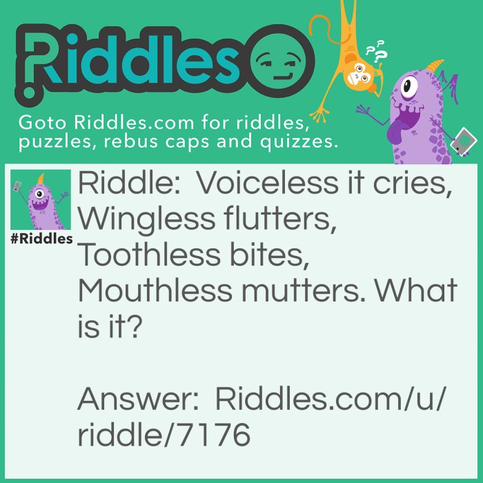 Voiceless it cries wingless it flutters toothless bites mouthless mutters